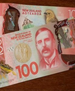 buy NZD 100 Dollars